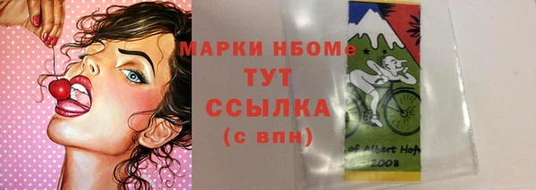 мет Алексин