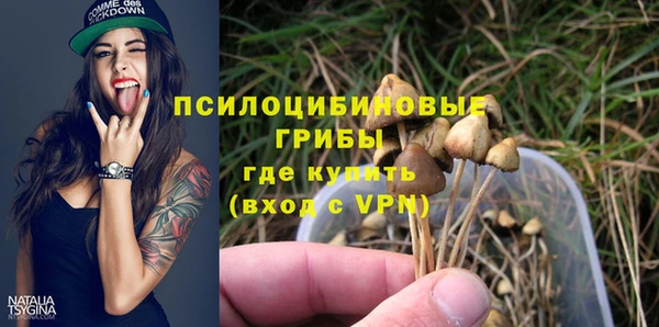 PSILOCYBIN Алзамай