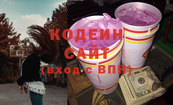 PSILOCYBIN Алзамай