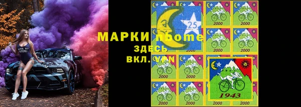 PSILOCYBIN Алзамай