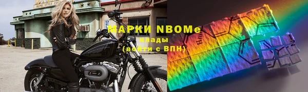 PSILOCYBIN Алзамай