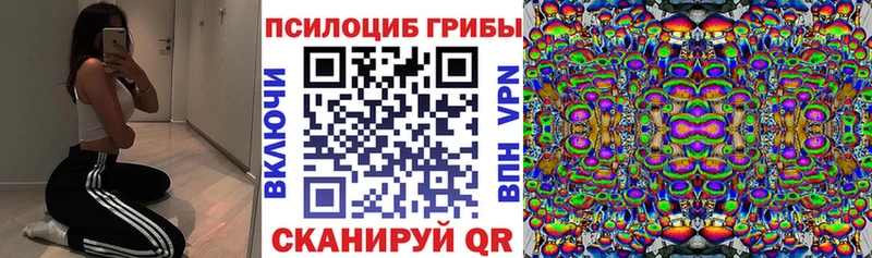нарко площадка состав  Фролово  Галлюциногенные грибы GOLDEN TEACHER  KRAKEN ТОР 